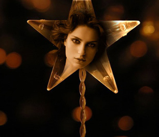 Foto Efecto en Estrella de Navidad Foto Efecto en Estrella de Navidad