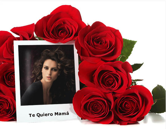 Rosas Rojas para el Día de la Madre.