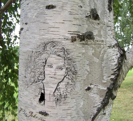 Grabar una imagen en un árbol.